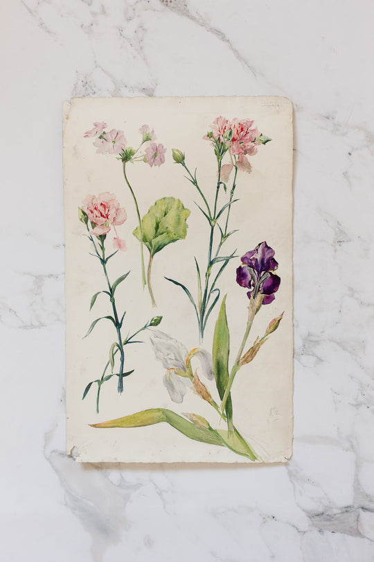 pair of 1920s french floral watercolour studies on paper