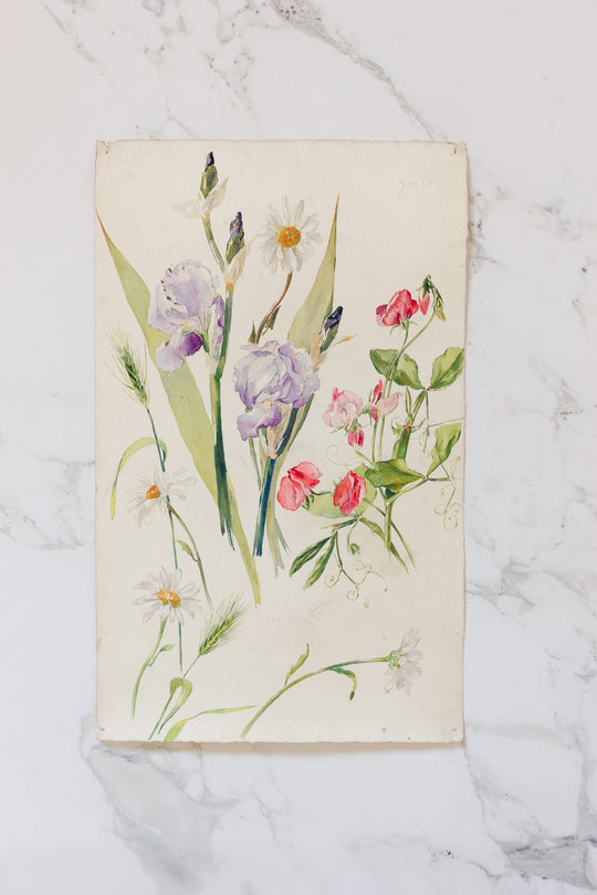 pair of 1920s french floral watercolour studies on paper