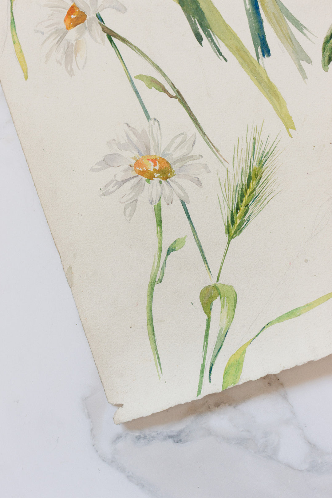 pair of 1920s french floral watercolour studies on paper