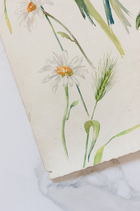 pair of 1920s french floral watercolour studies on paper