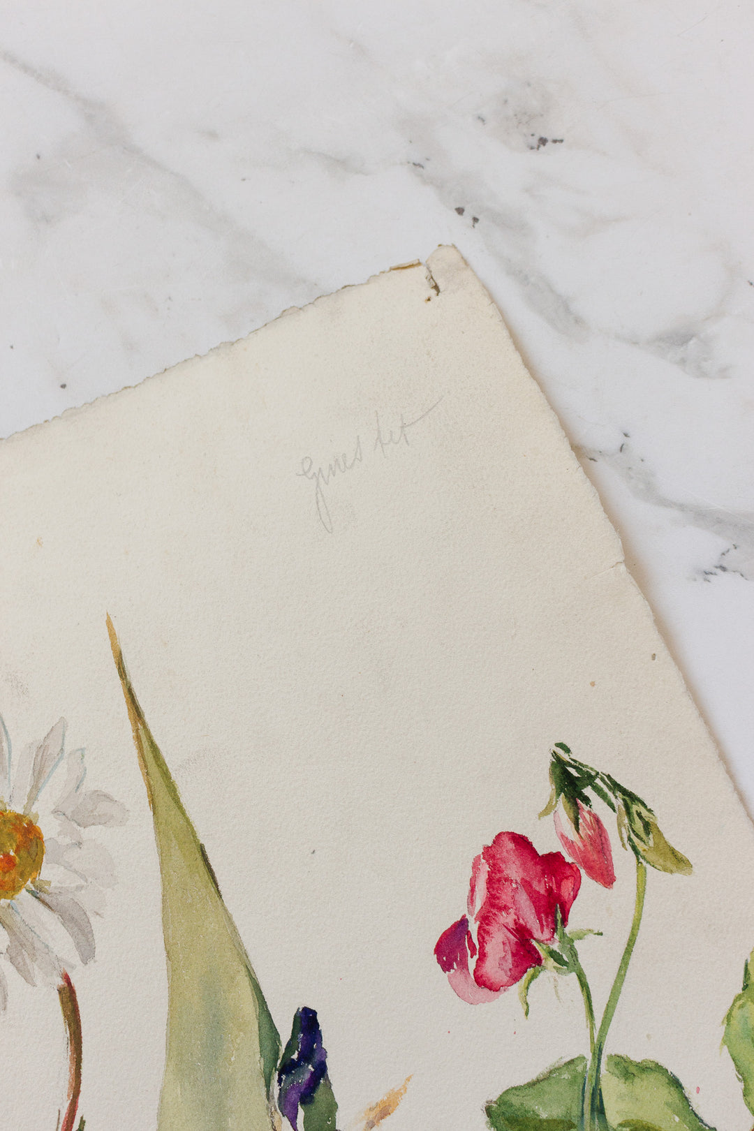 pair of 1920s french floral watercolour studies on paper