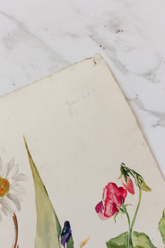 pair of 1920s french floral watercolour studies on paper