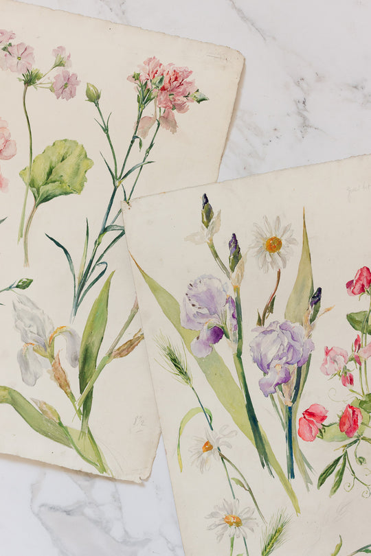 pair of 1920s french floral watercolour studies on paper