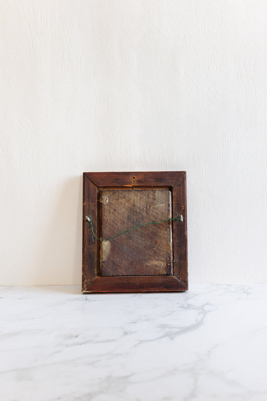 fleurs dans les ombres