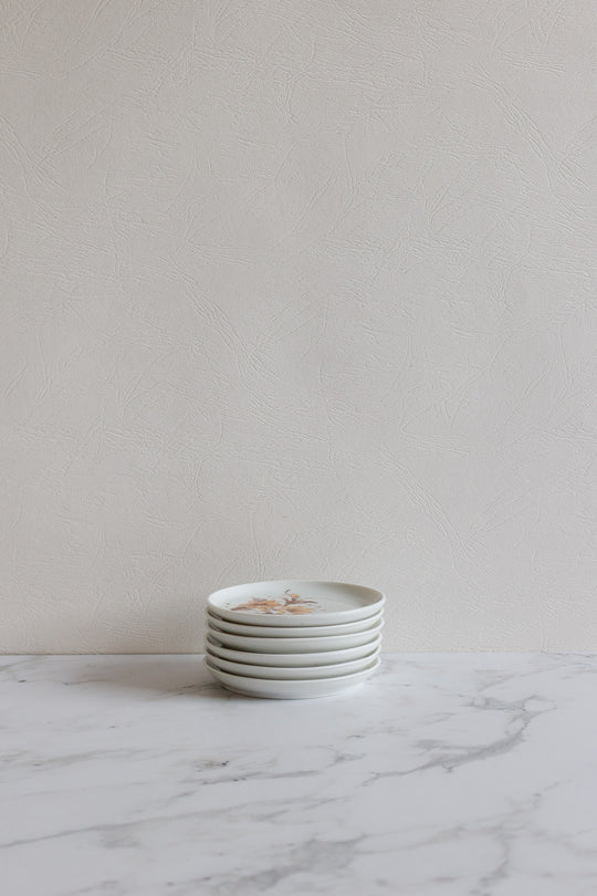 kaiser germany midcentury porcelain coasters, set of 6