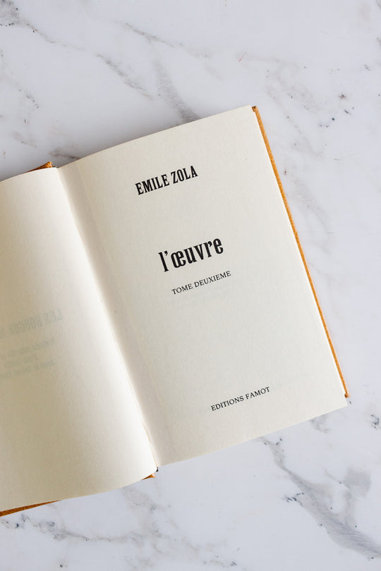 vintage french book collection by Emile Zola