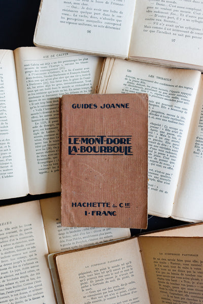"guides joanne” travel guide for le mont-dore – la bourboule