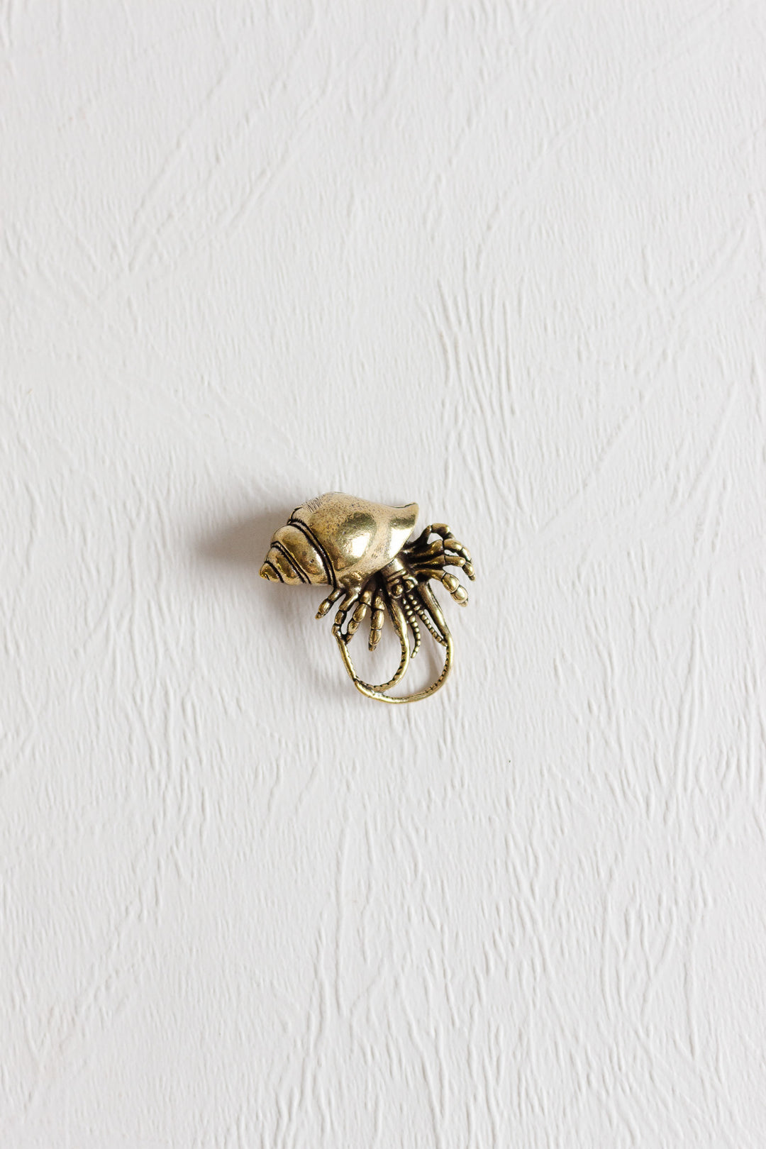 vintage french miniature hermit  crab