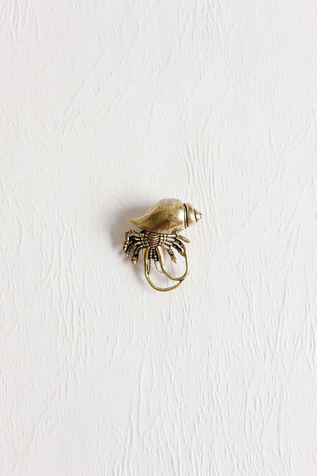 vintage french miniature hermit  crab