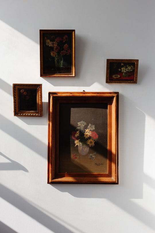 fleurs dans les ombres