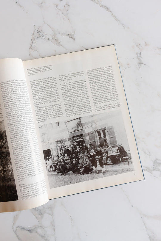 gaugin vintage art book