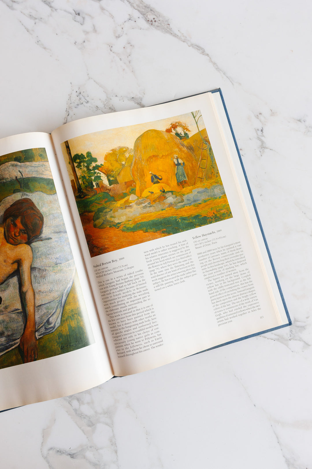 gaugin vintage art book