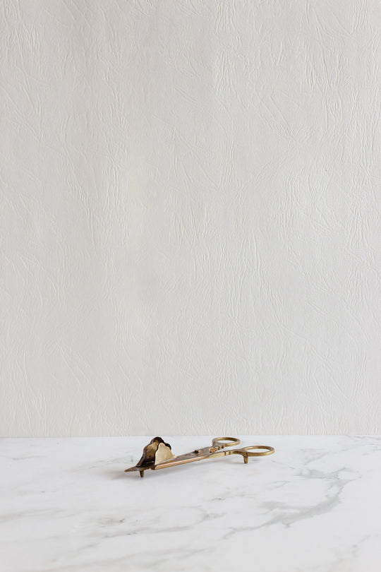 vintage french "ciseaux" candle snuffer i