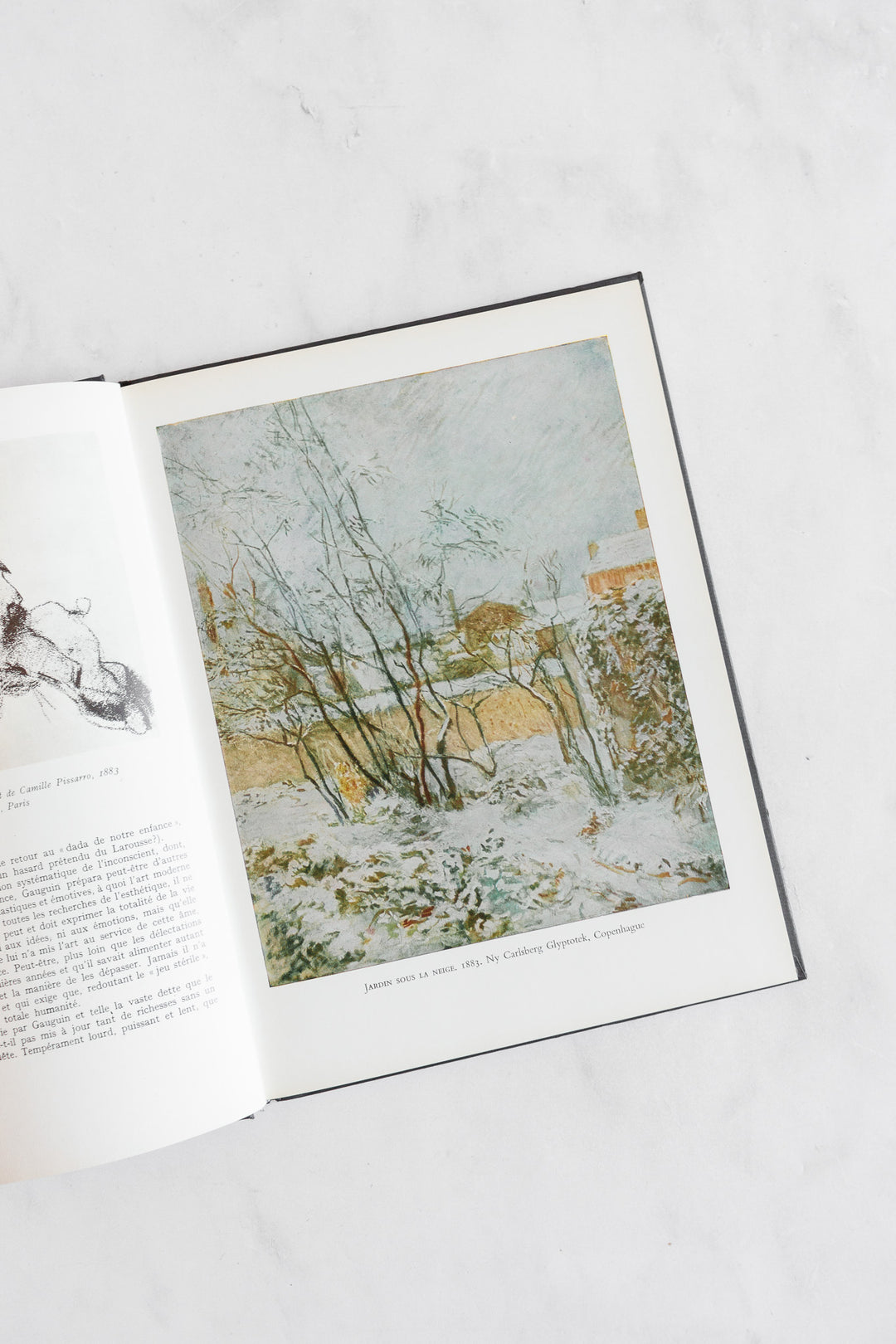 vintage French art book, “gaugin”