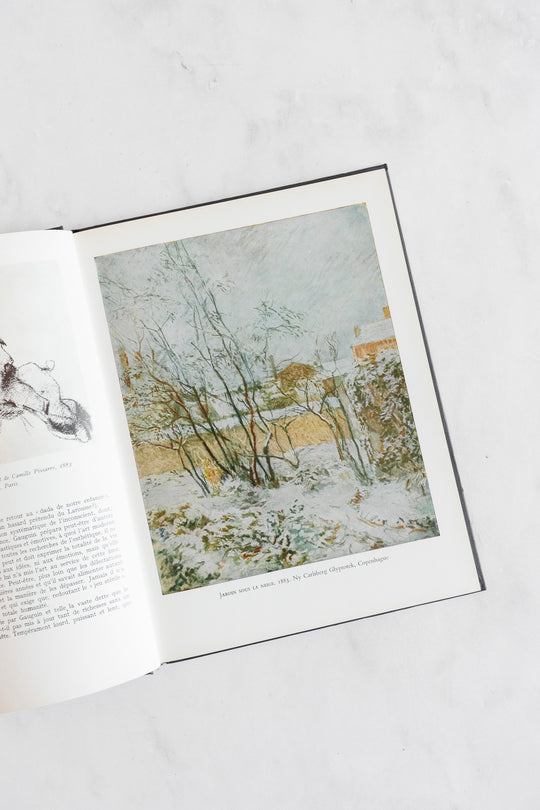 vintage French art book, “gaugin”