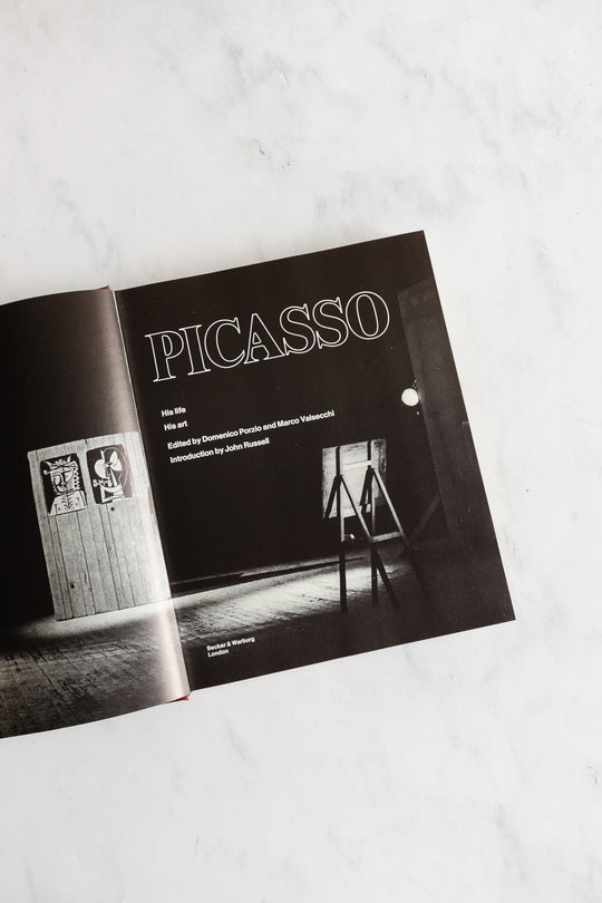 vintage book "Picasso: his life, his art"