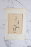 antique engraving “Laocoon”, artist’s study from “The Proportions of the Human Body”