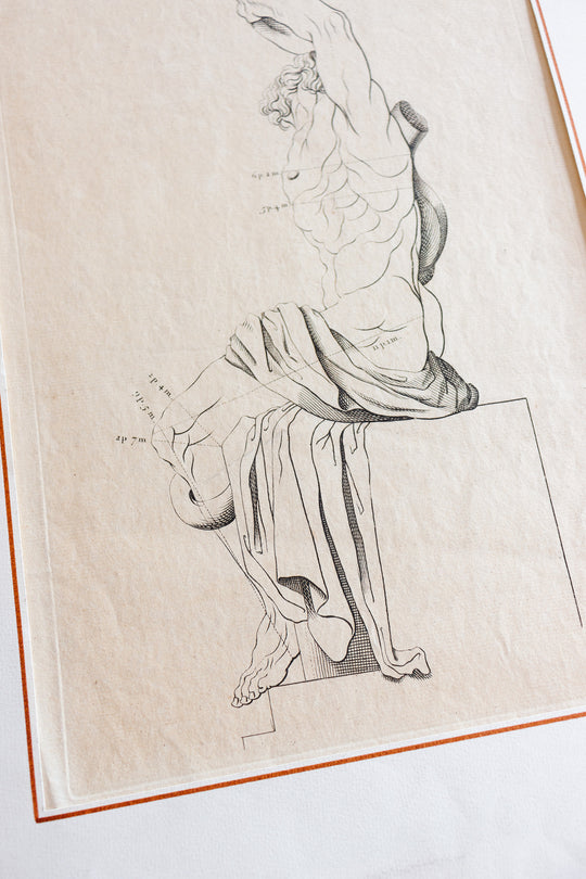 antique engraving “Laocoon”, artist’s study from “The Proportions of the Human Body”