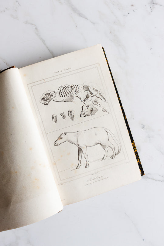 1845 french encyclopaedic plates — firmin didot frères