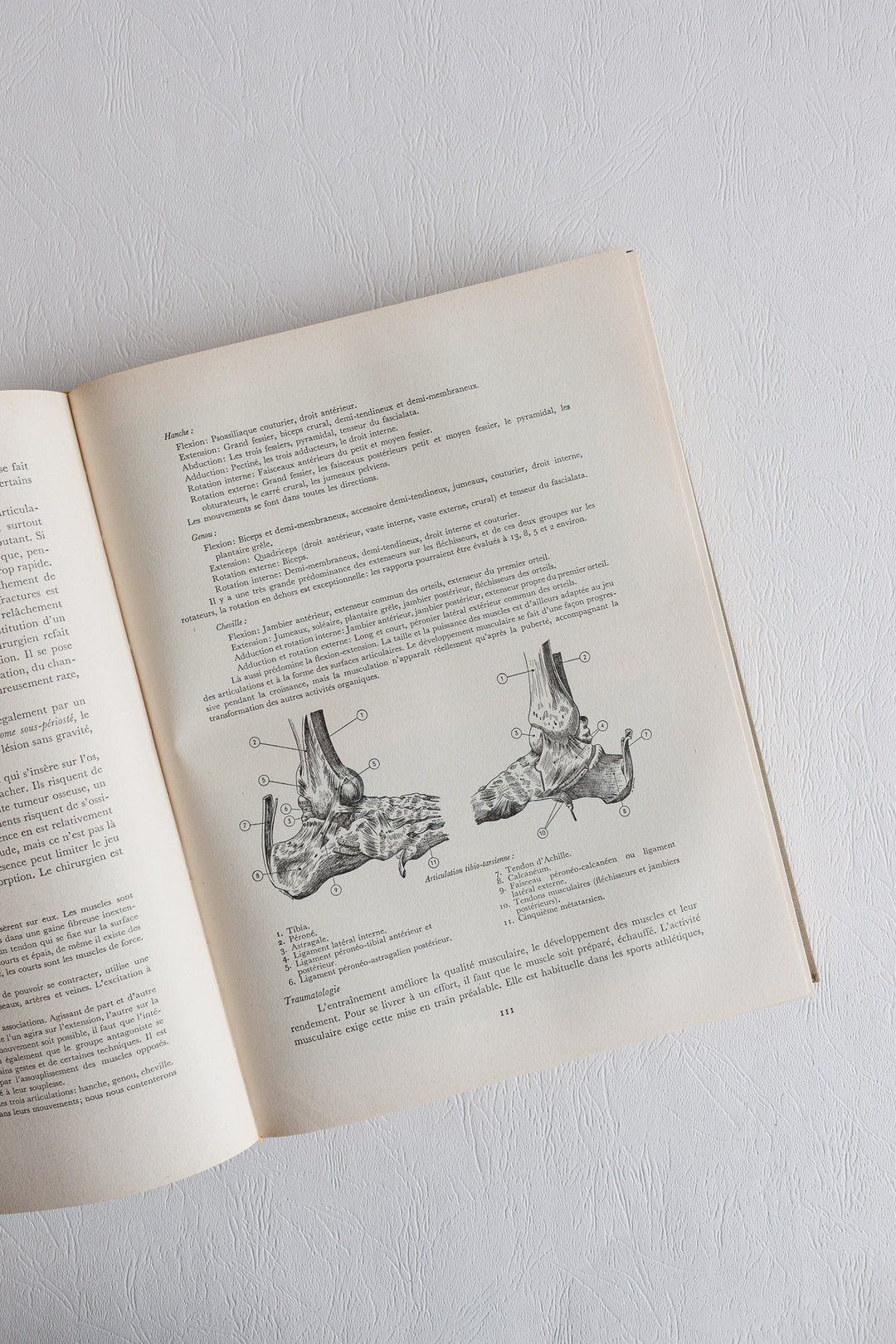 "le football" midcentury french coffee table books: volumes 1 and 2