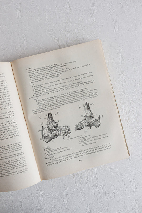 "le football" midcentury french coffee table books: volumes 1 and 2