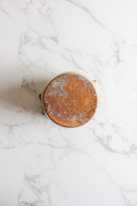 antique french confit pot with handles