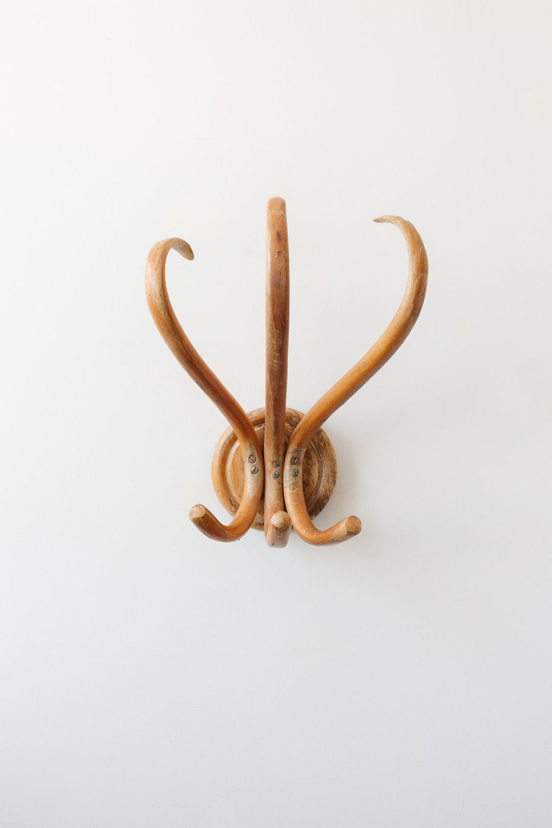 midcentury french thonet style bentwood hat rack