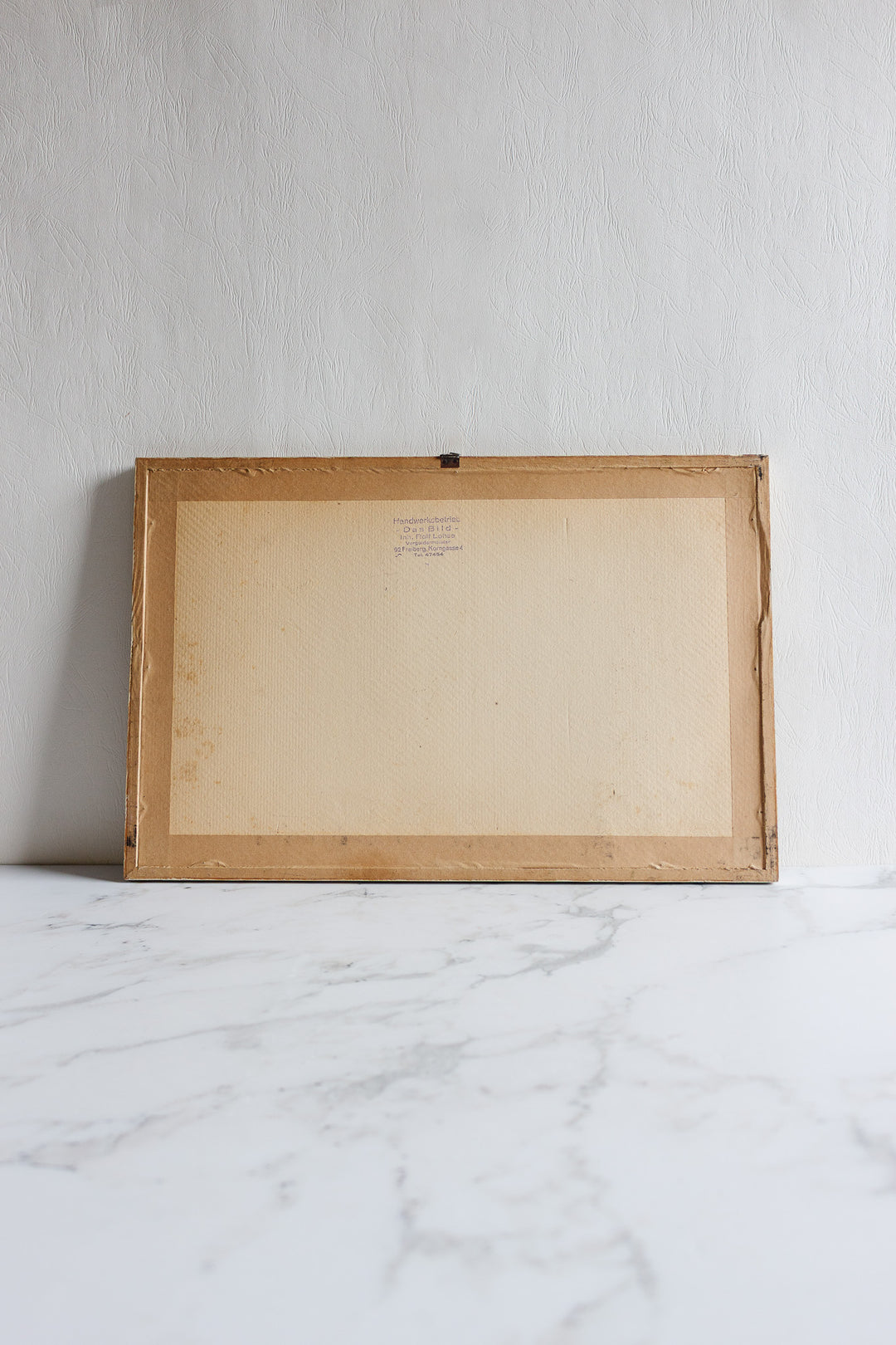 city of saalfeld antique print