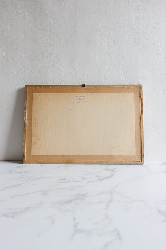 city of saalfeld antique print