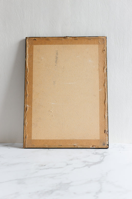 historische häuser am wasser