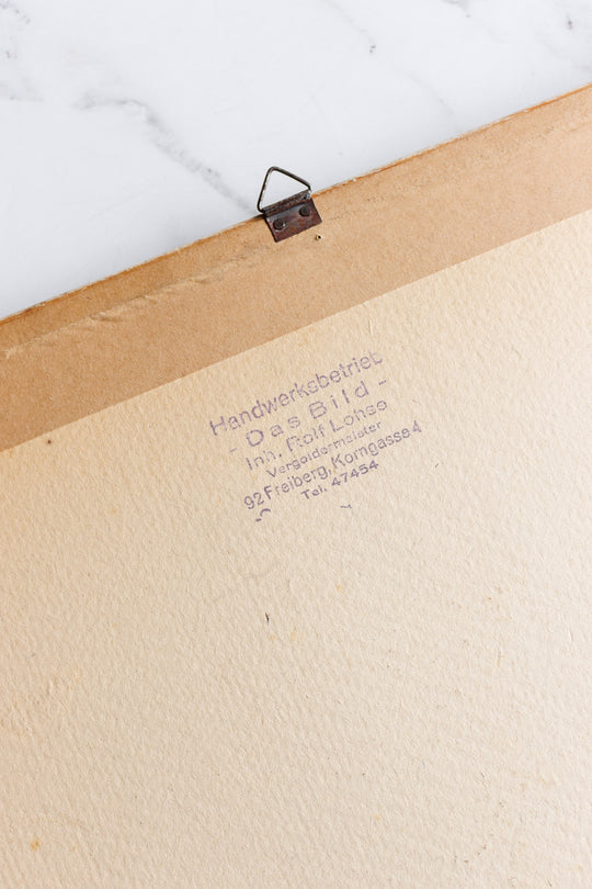 city of saalfeld antique print