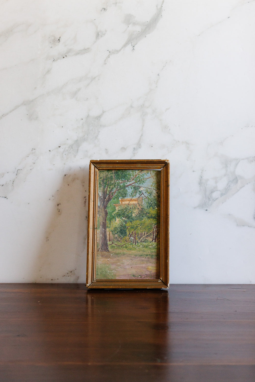 derrière les branches