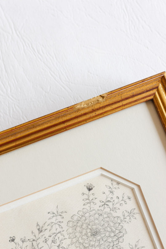 1948 hand drawn floral charcoal on paper in gilt frame
