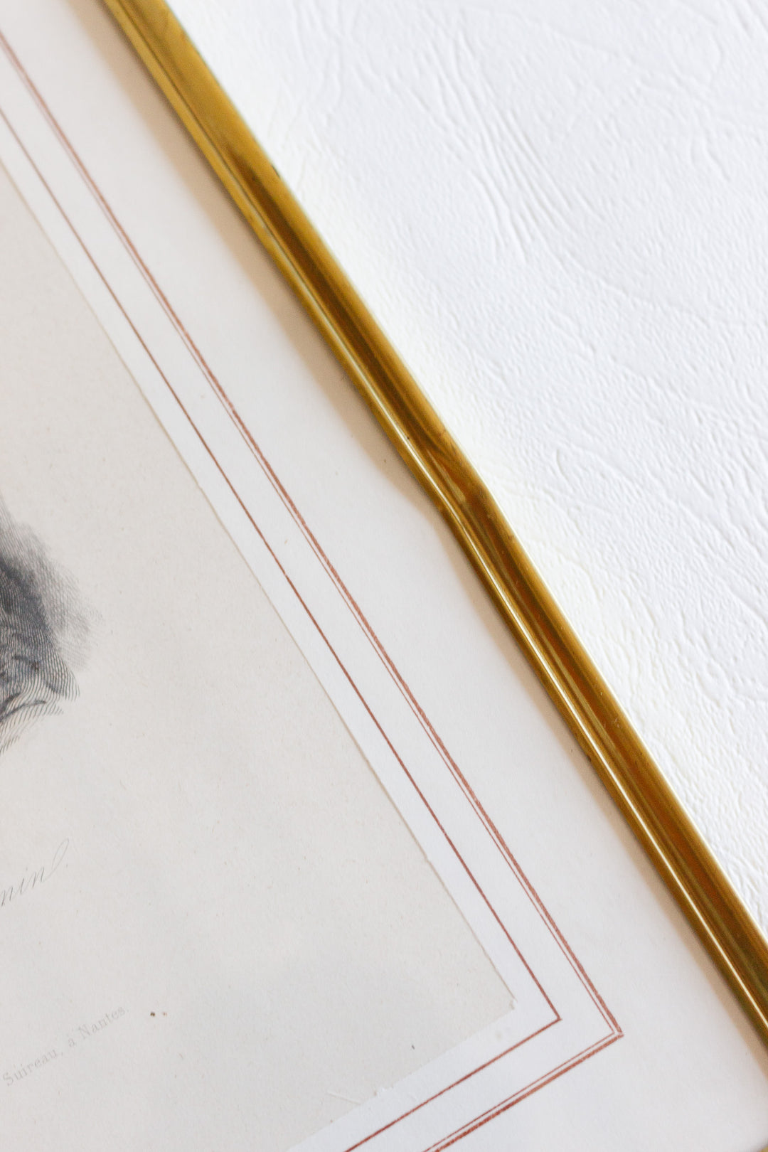 antique engraved portrait of jules janin