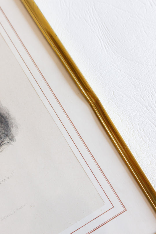 antique engraved portrait of jules janin