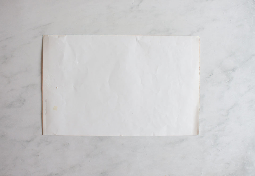 antique french chromolithograph "à la mode"