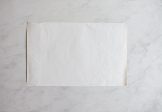 antique french chromolithograph "à la mode"