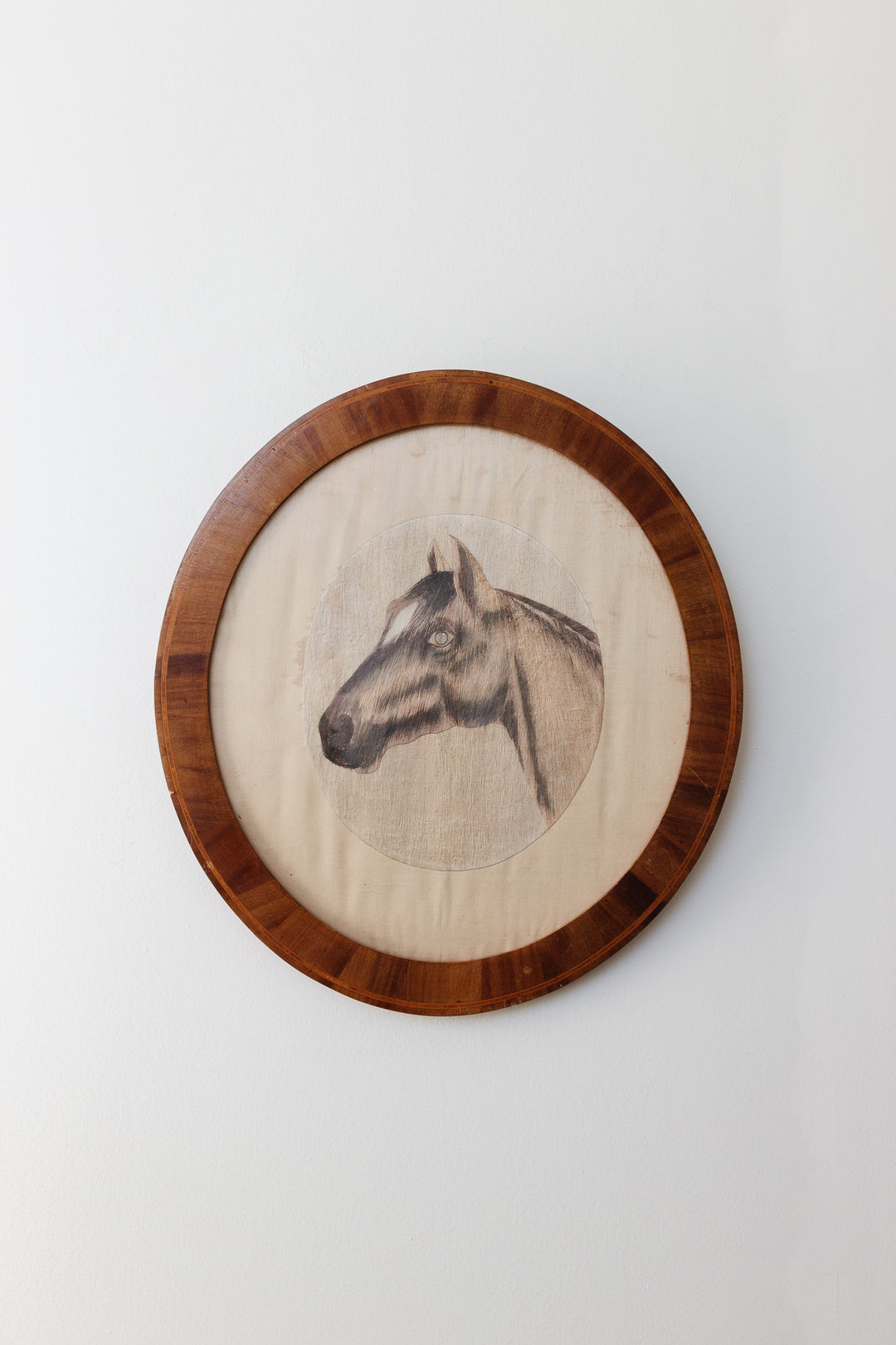 le cheval en rond