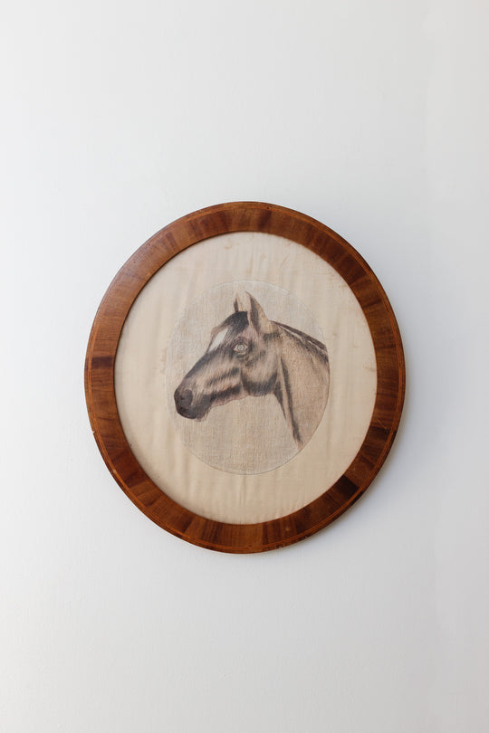 le cheval en rond