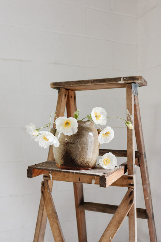 antique french confit pot with handles