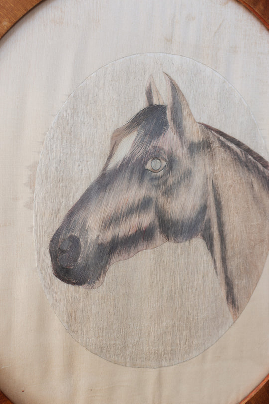 le cheval en rond