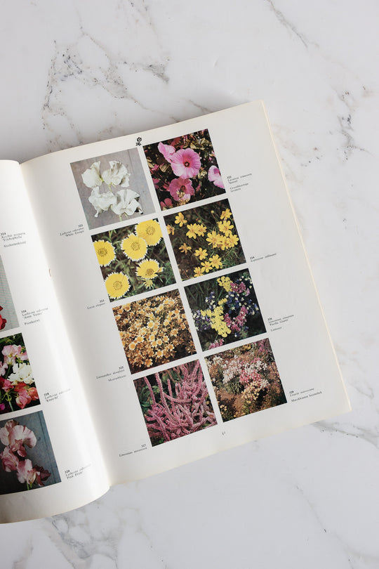 "2000 garden / greenhouse and houseplants in color” -
dutch coffee table book