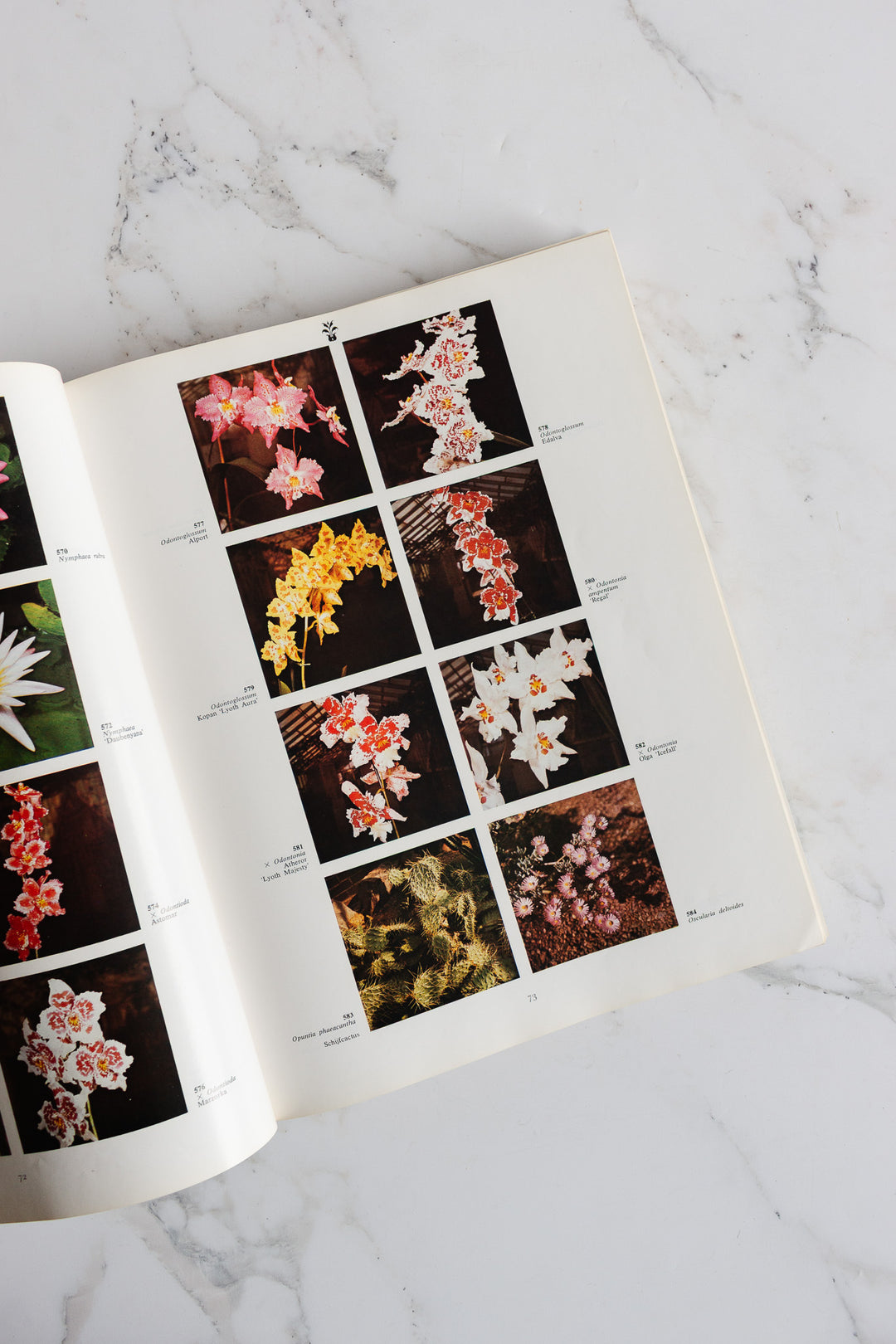 "2000 garden / greenhouse and houseplants in color” -
dutch coffee table book
