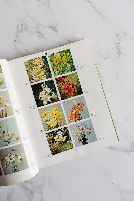 "2000 garden / greenhouse and houseplants in color” -
dutch coffee table book