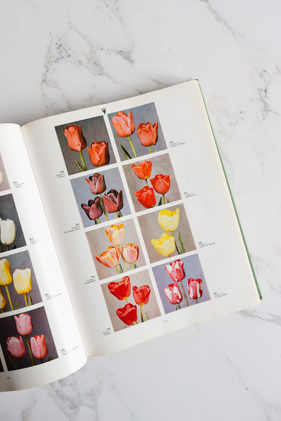 "2000 garden / greenhouse and houseplants in color” -
dutch coffee table book