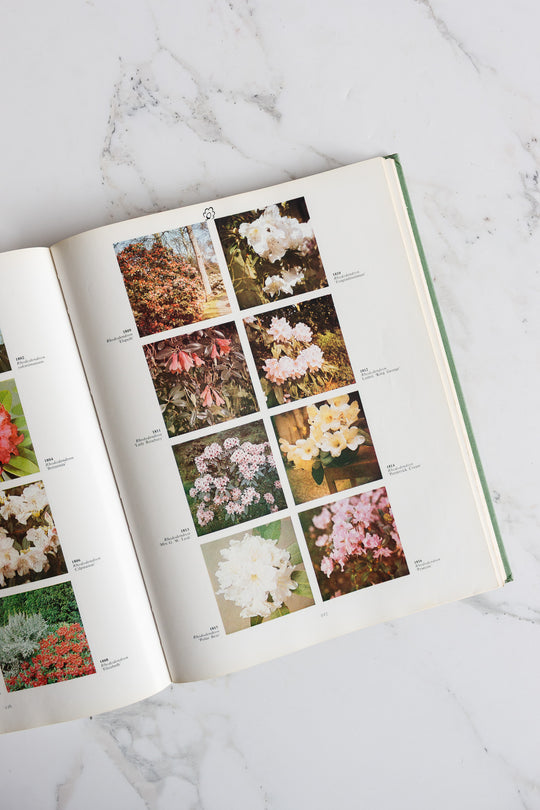 "2000 garden / greenhouse and houseplants in color” -
dutch coffee table book