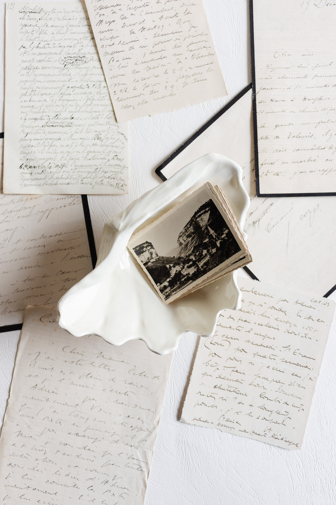 1940s wedgwood of etruria and barlaston bone china shell