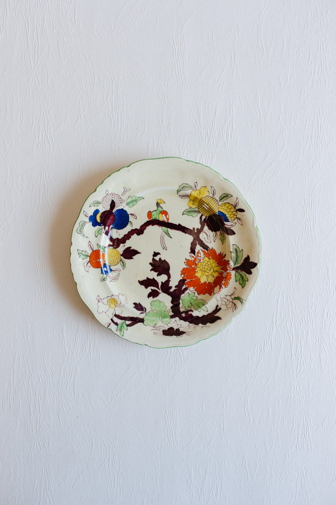 pair of antique hand painted mason's "woodpigeon branch" plates
