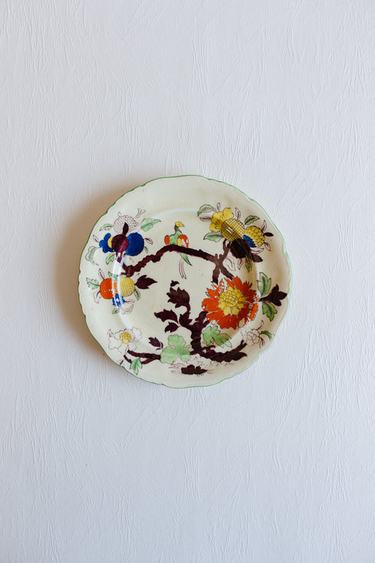pair of antique hand painted mason's "woodpigeon branch" plates