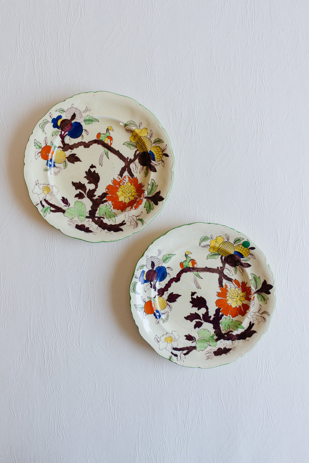 pair of antique hand painted mason's "woodpigeon branch" plates